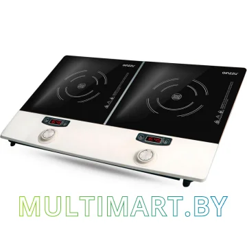 Настольная плита Ginzzu HCI-226